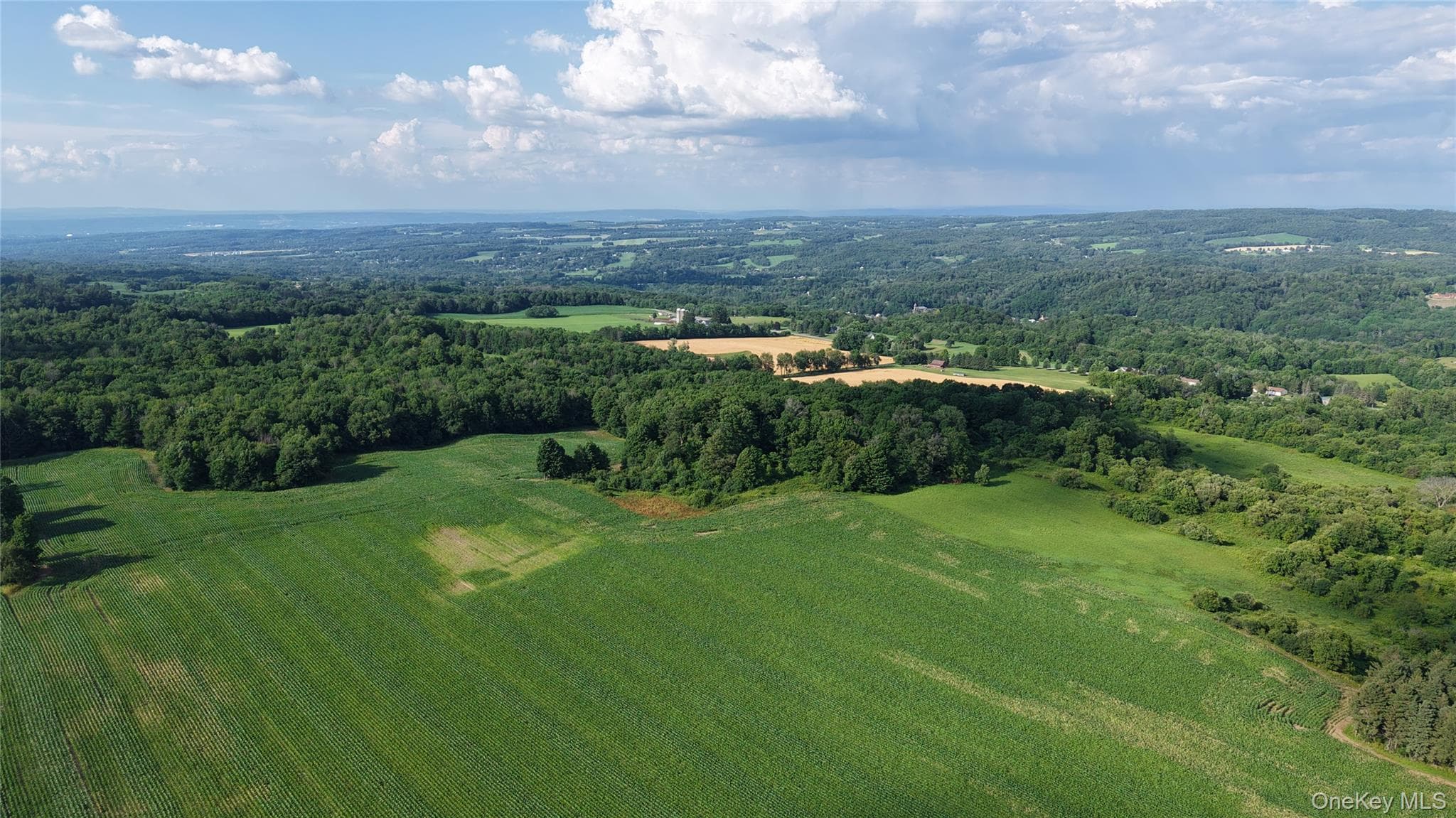 9339 Crooked Hill Road thumbnail 38
