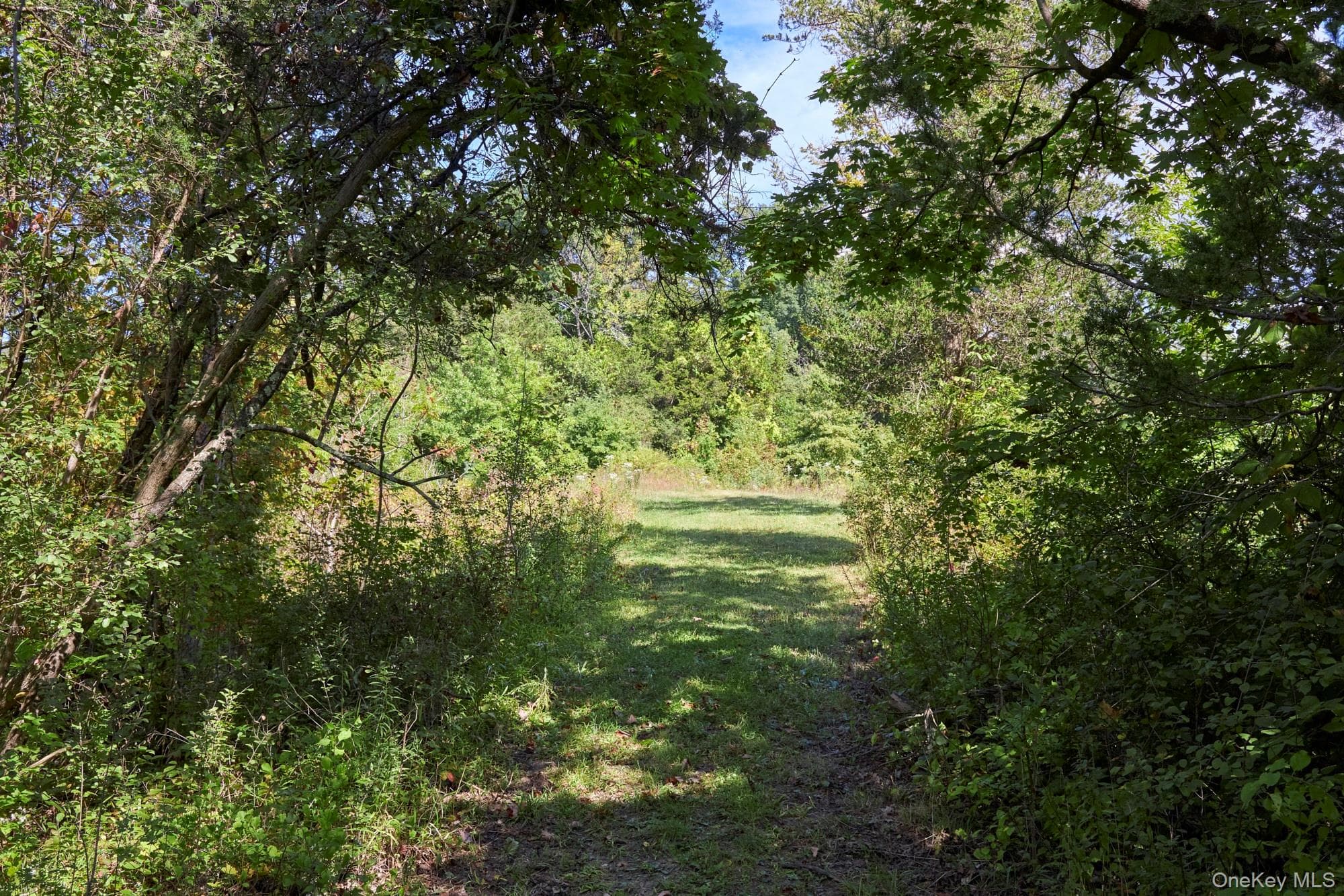 Mill Road thumbnail 8