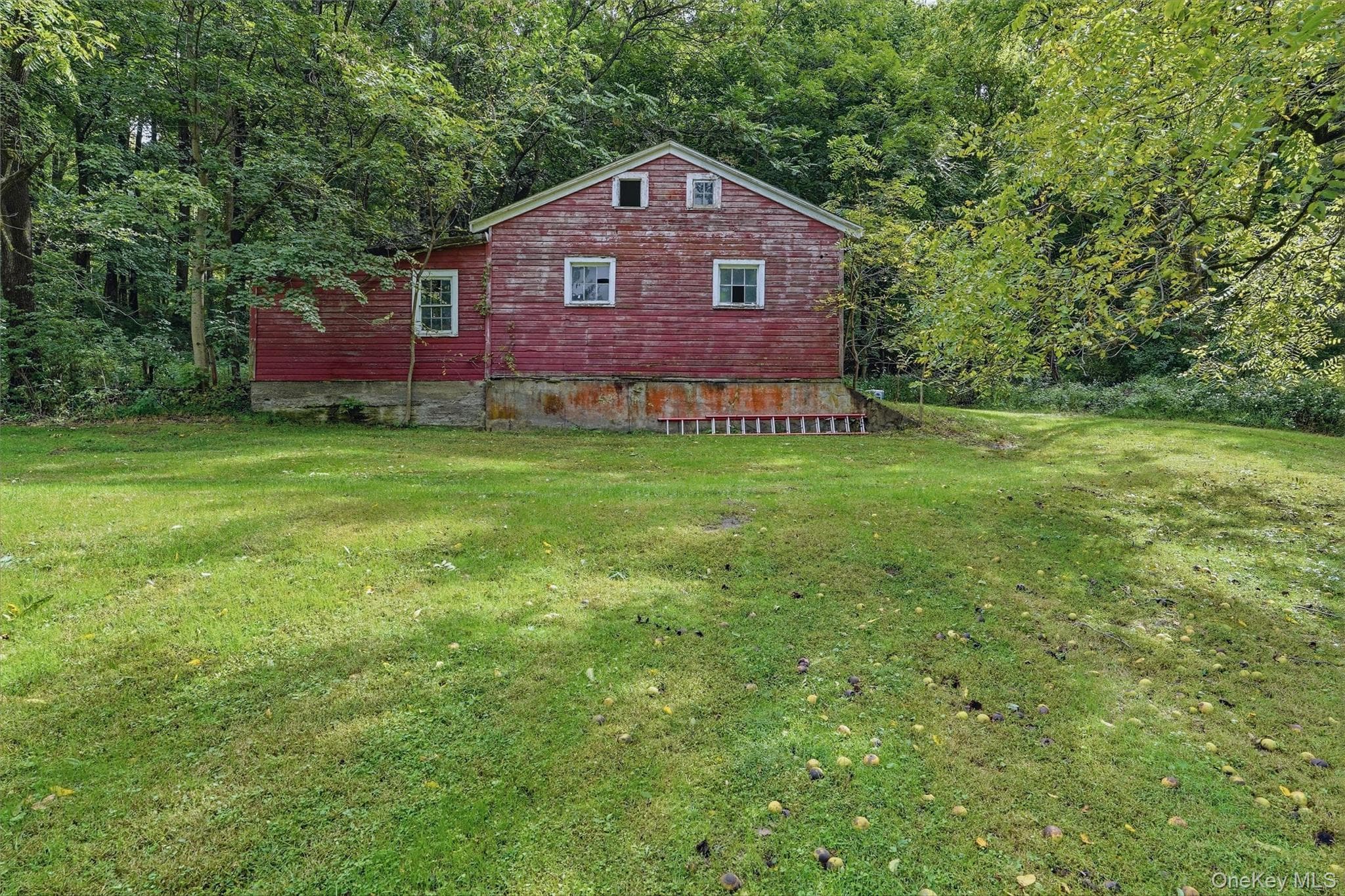 5 Douglas Drive thumbnail 46