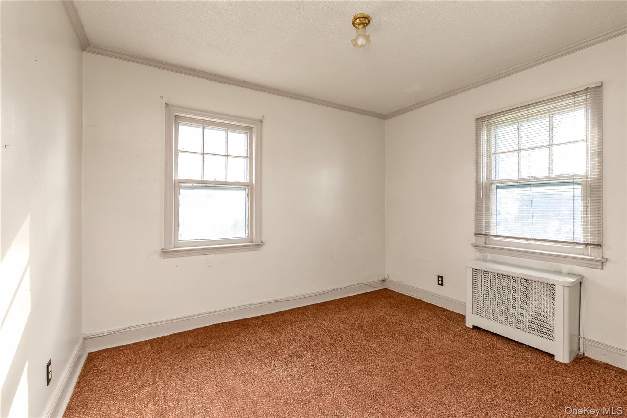 249 Debevoise Avenue thumbnail 9