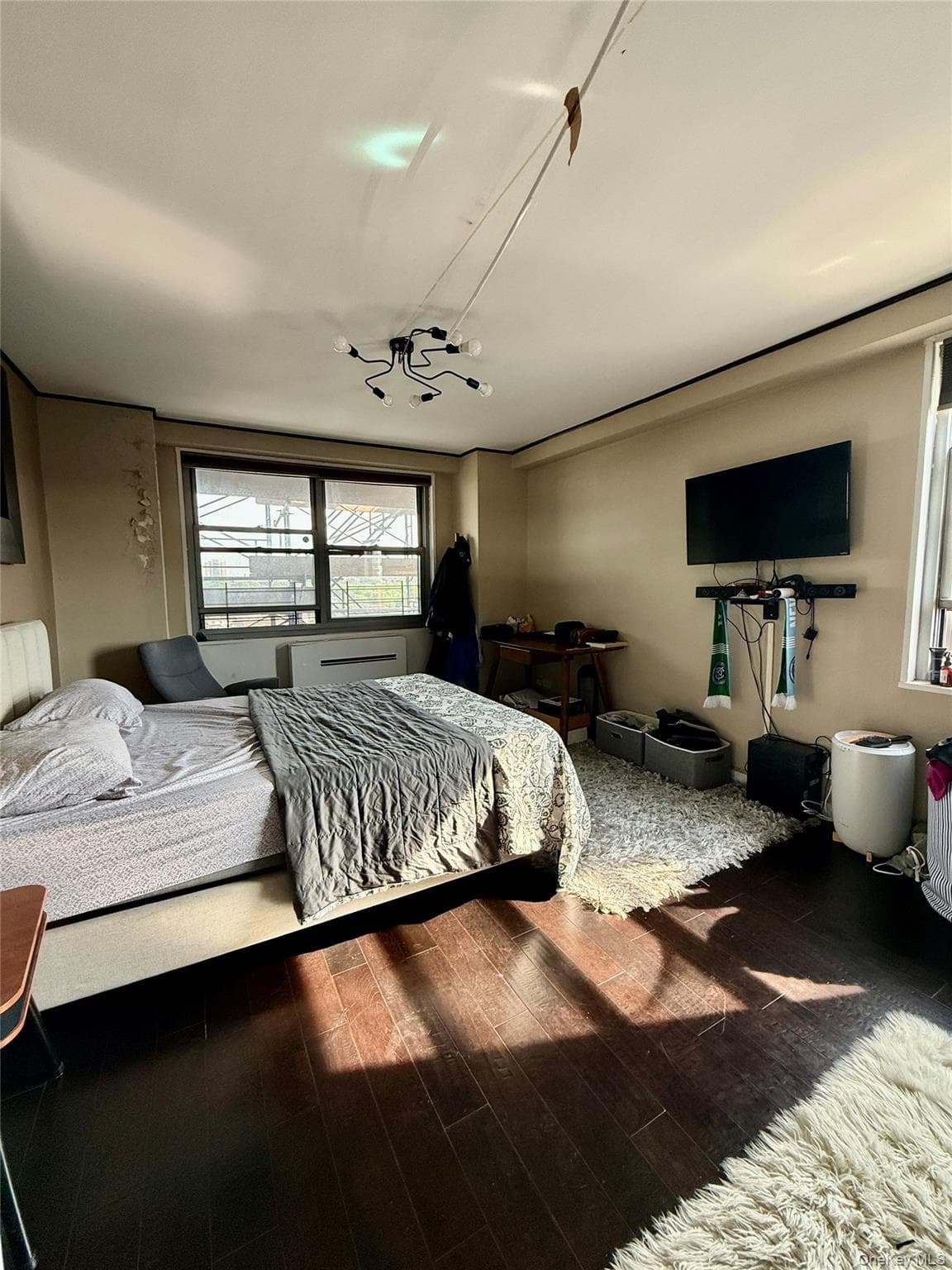 61-20 Grand Central Parkway Unit: B 1103 thumbnail 11