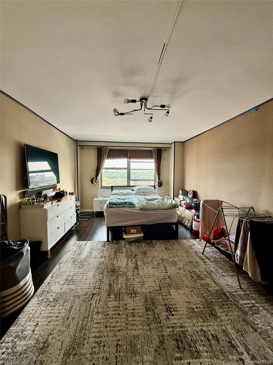 61-20 Grand Central Parkway Unit: B 1103 thumbnail 19