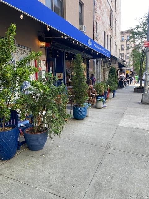 468 W 47th Street thumbnail 4