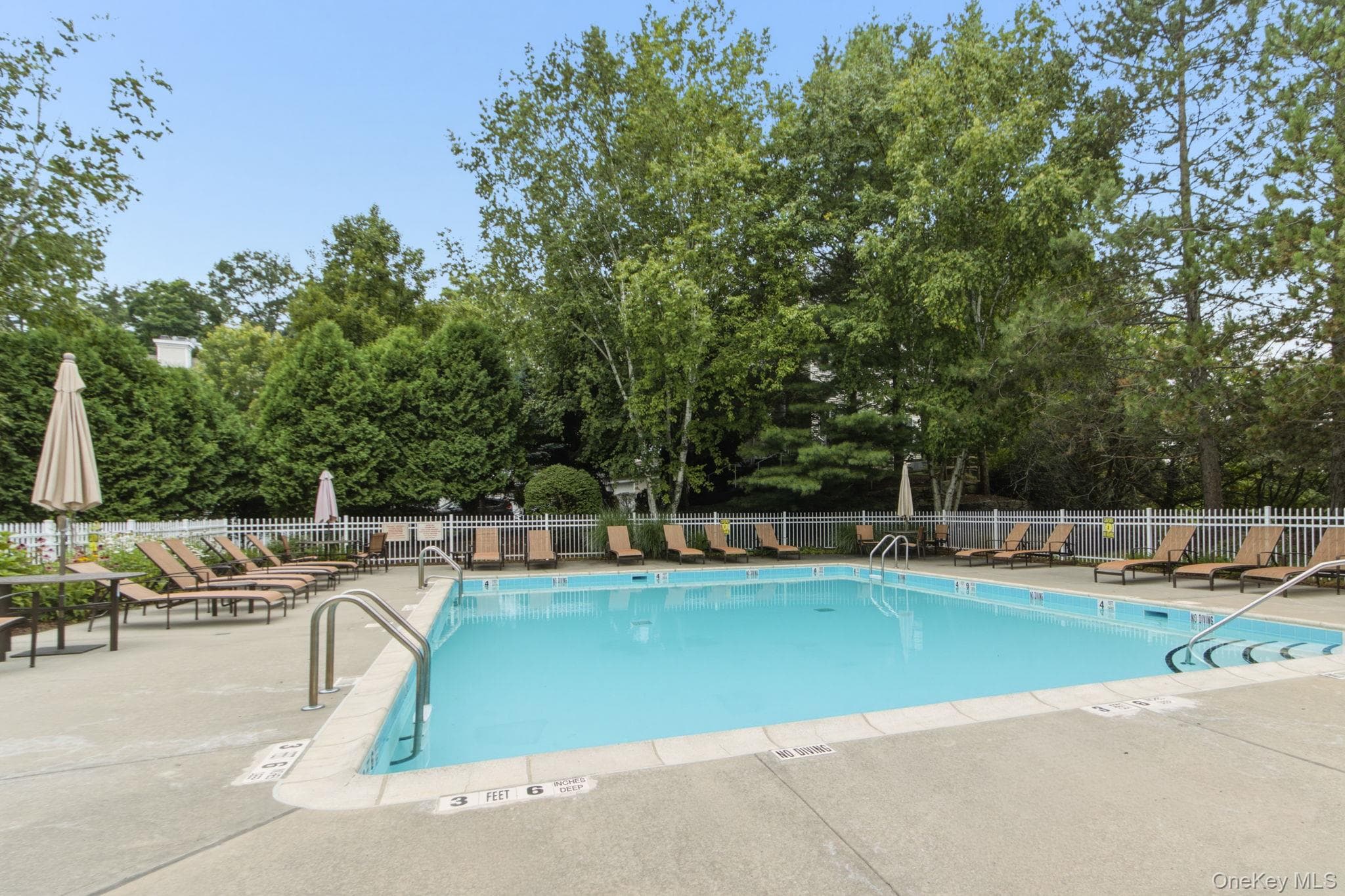 34 Briarbrook Drive thumbnail 35