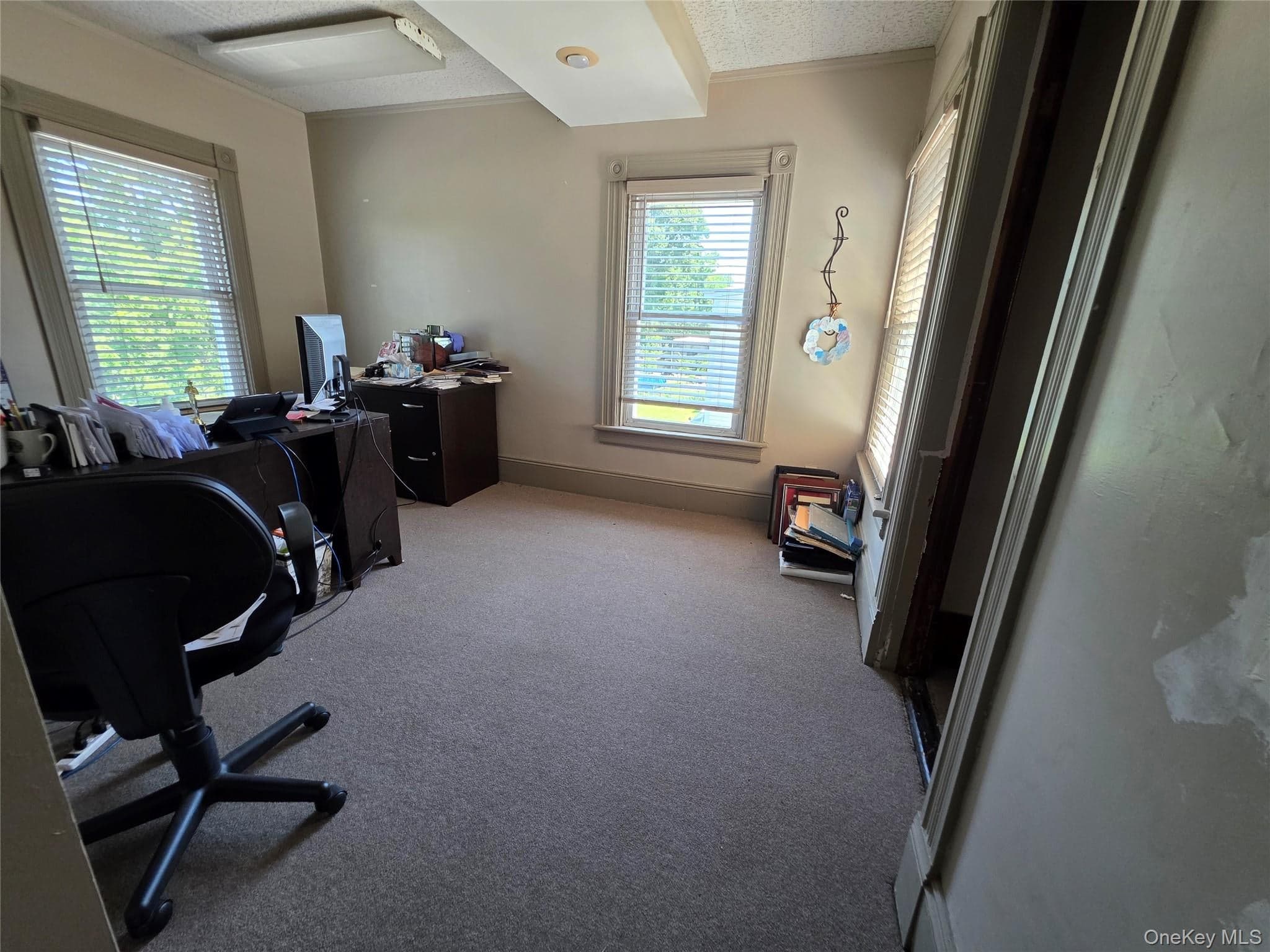 45 Quassaick Avenue thumbnail 19
