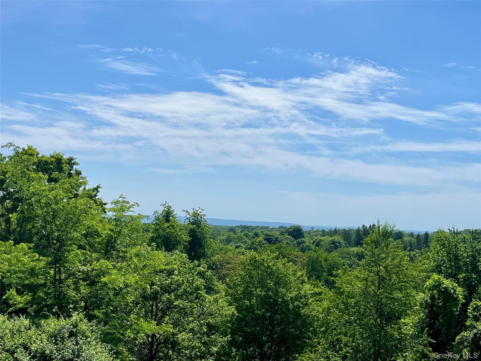470 Ingrassia Road thumbnail 6