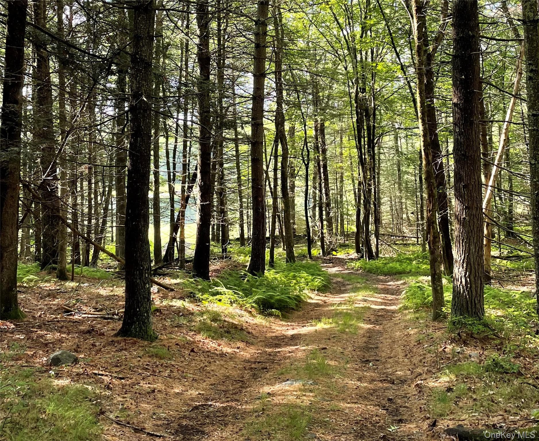 Split Rock Drive thumbnail 5