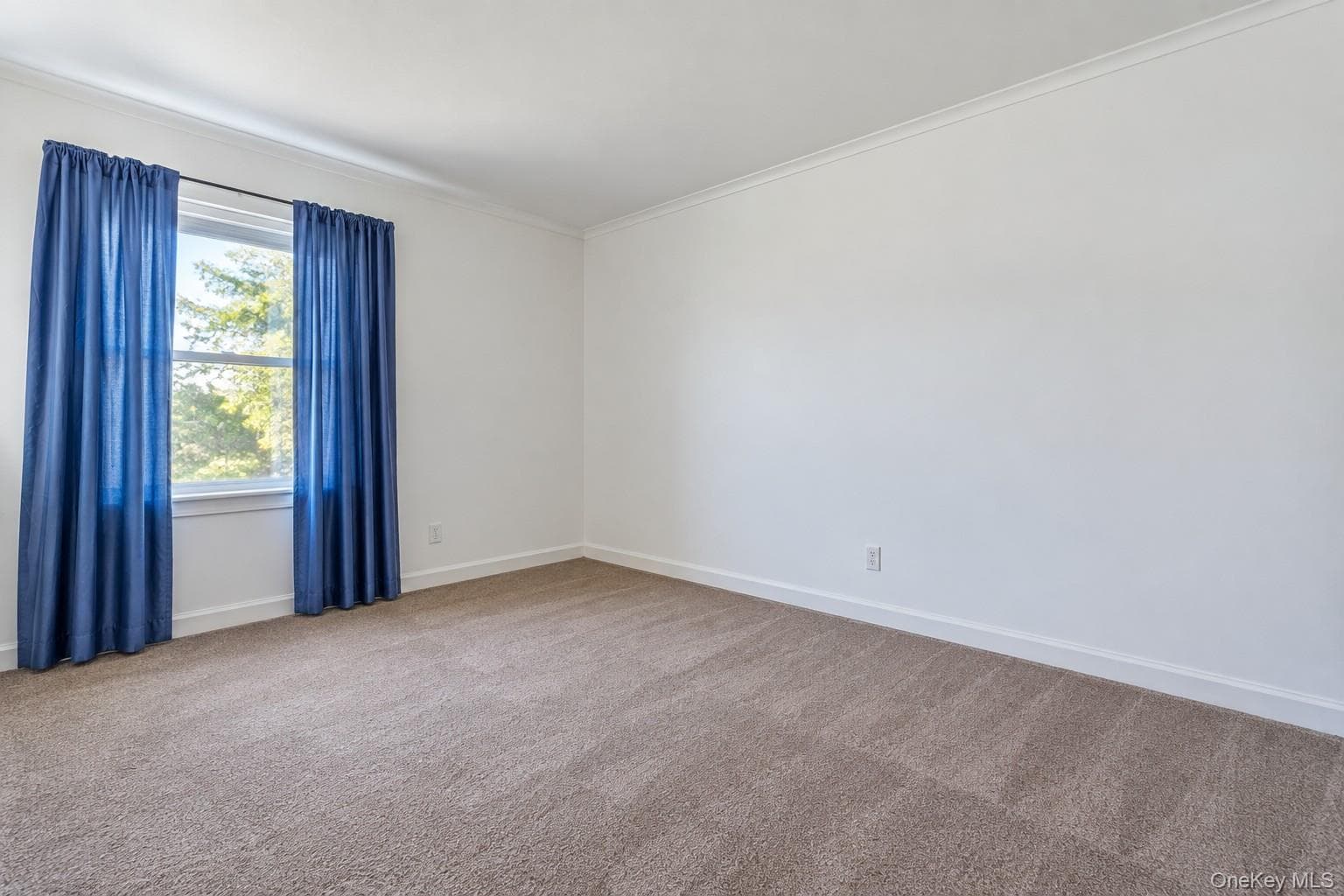 1228 Albany Post Road thumbnail 12