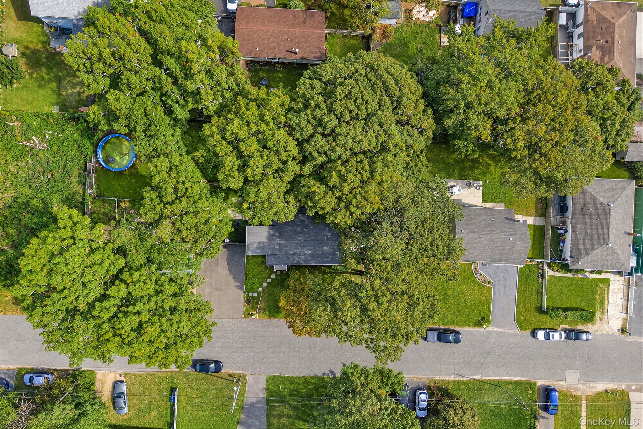27 Ashwood Drive thumbnail 43