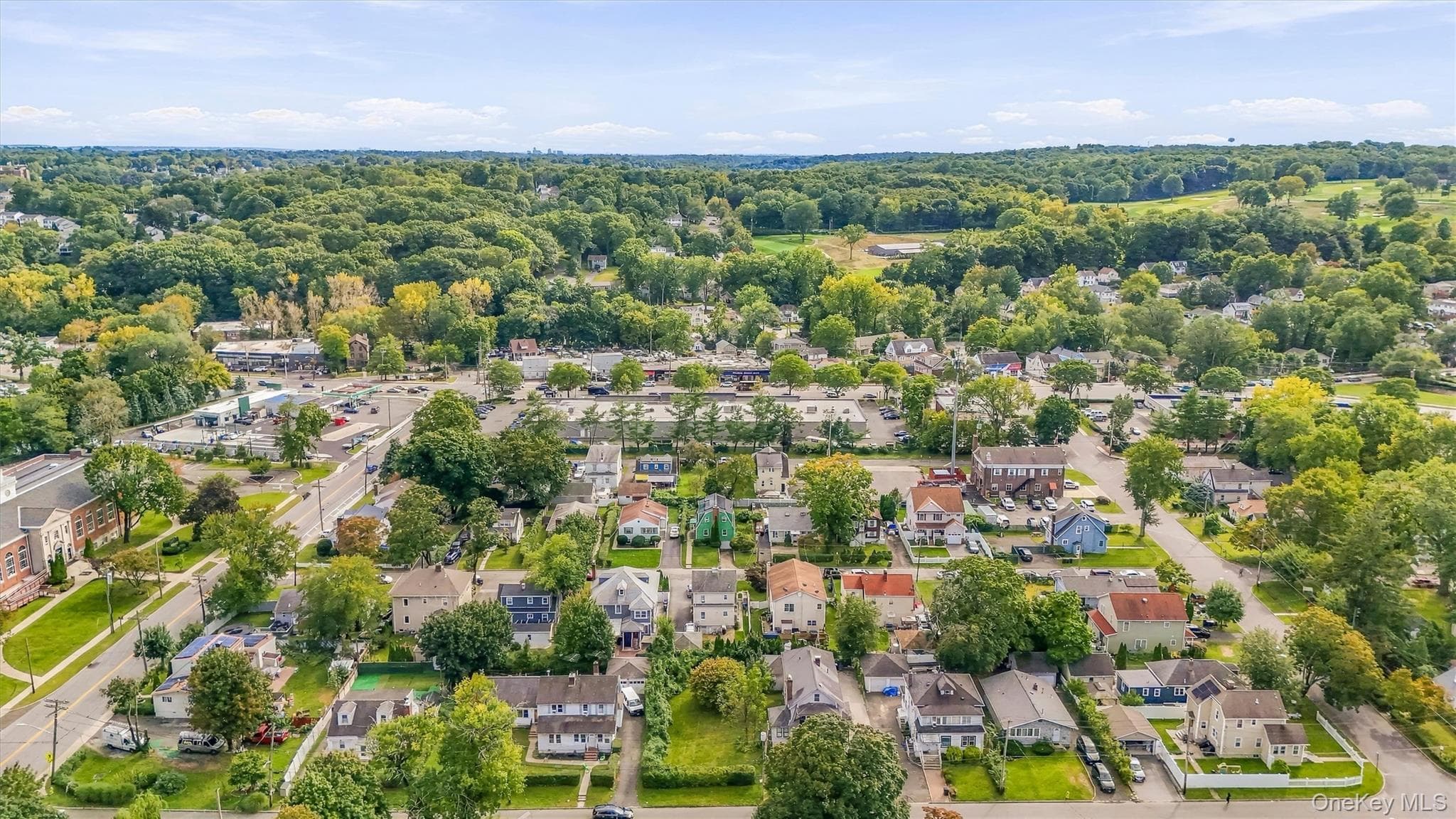 Vacant Florence Avenue thumbnail 12