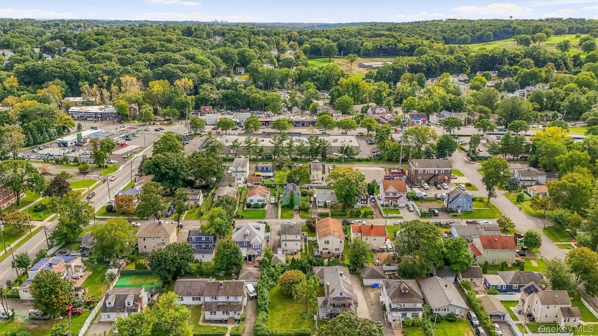 Vacant Florence Avenue thumbnail 11