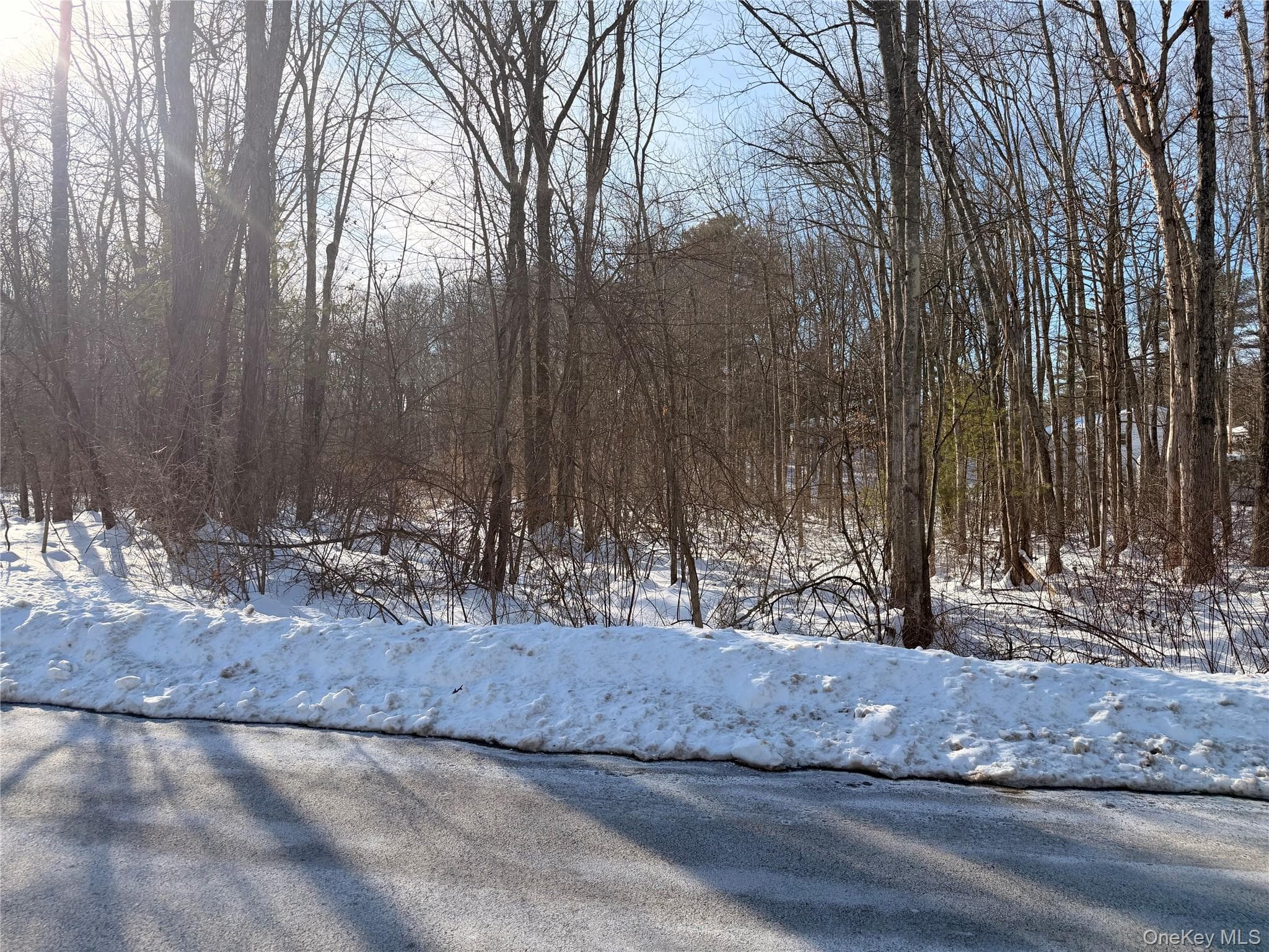 11 White Birch Road thumbnail 5