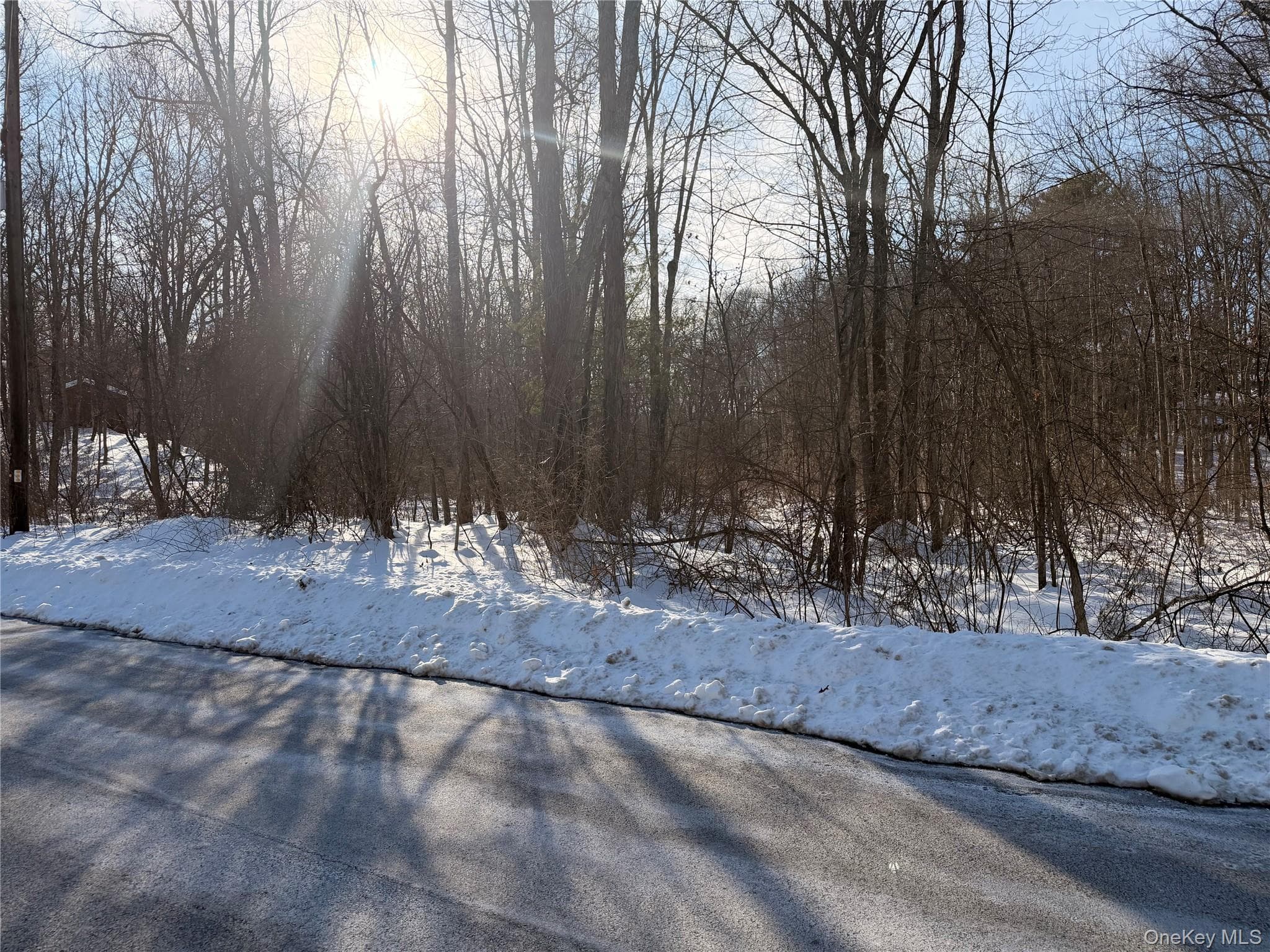 11 White Birch Road thumbnail 4