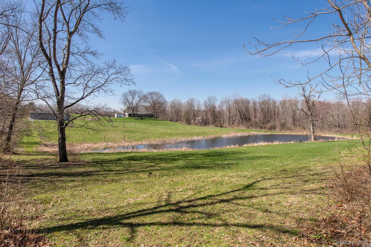 394 Smith Road thumbnail 45