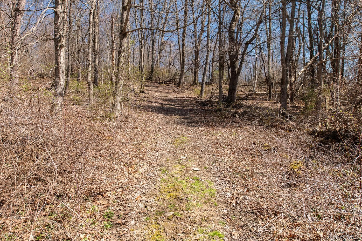 394 Smith Road thumbnail 39