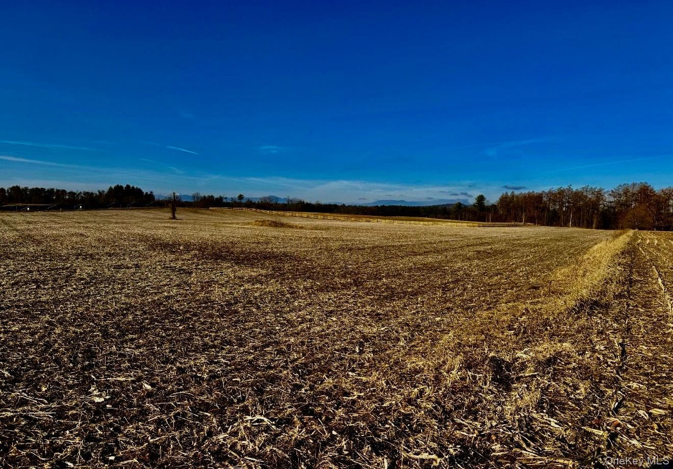 Orchard thumbnail 3