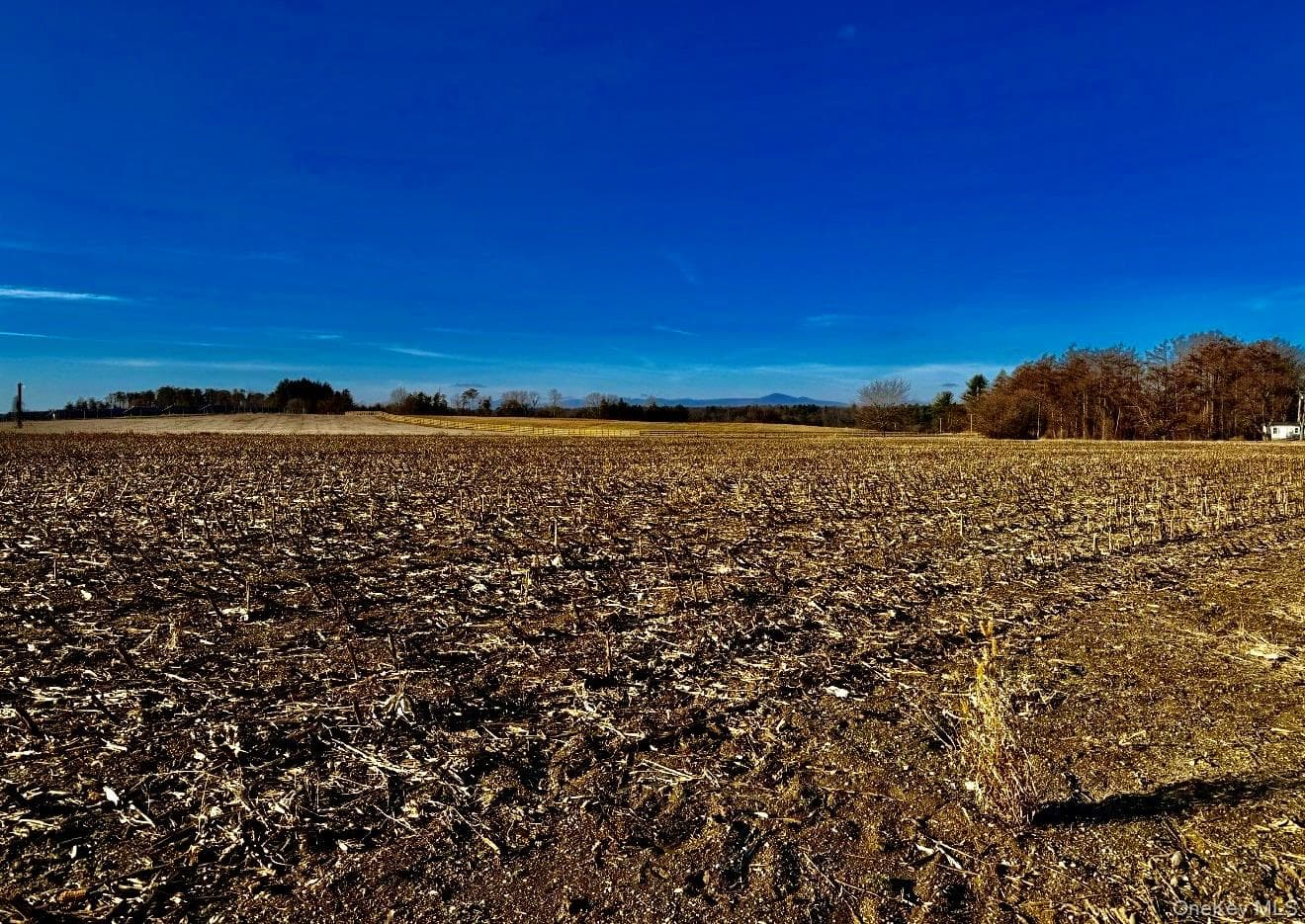 Orchard thumbnail 4