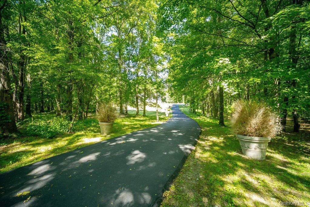 2398 State Route 207 thumbnail 35