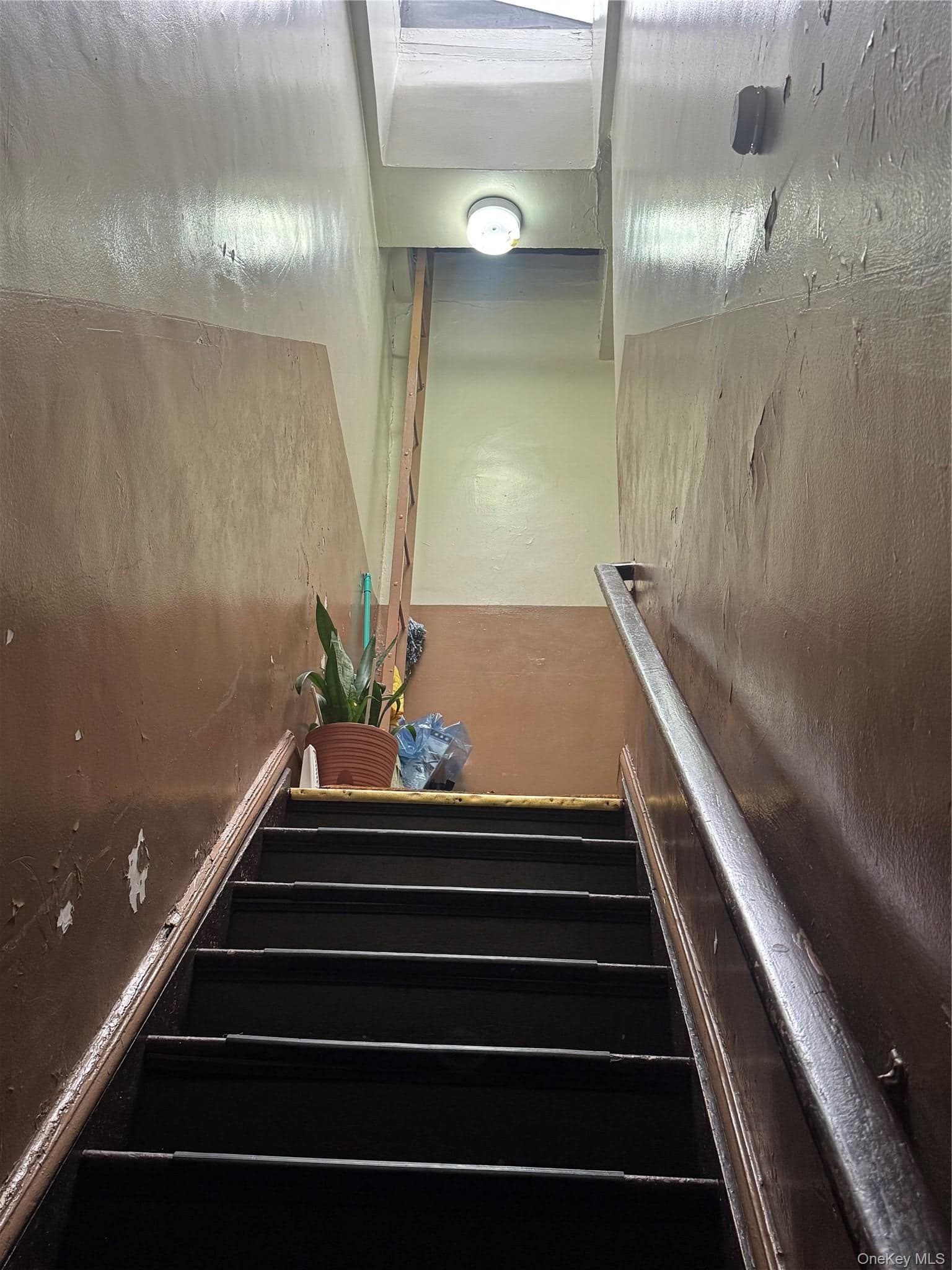 4118 Avenue D thumbnail 4