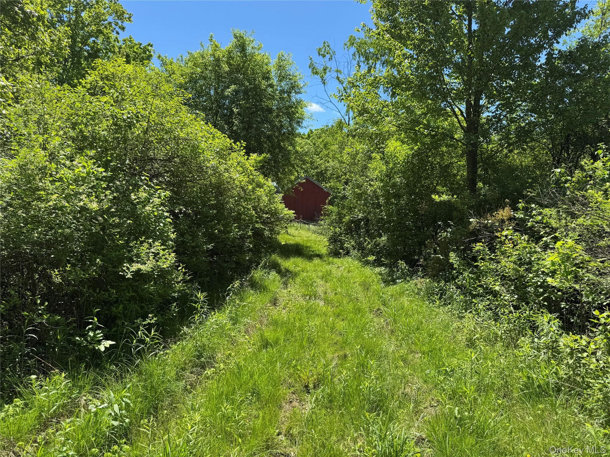 Parcel 1 - TBD Woodstock Road thumbnail 5