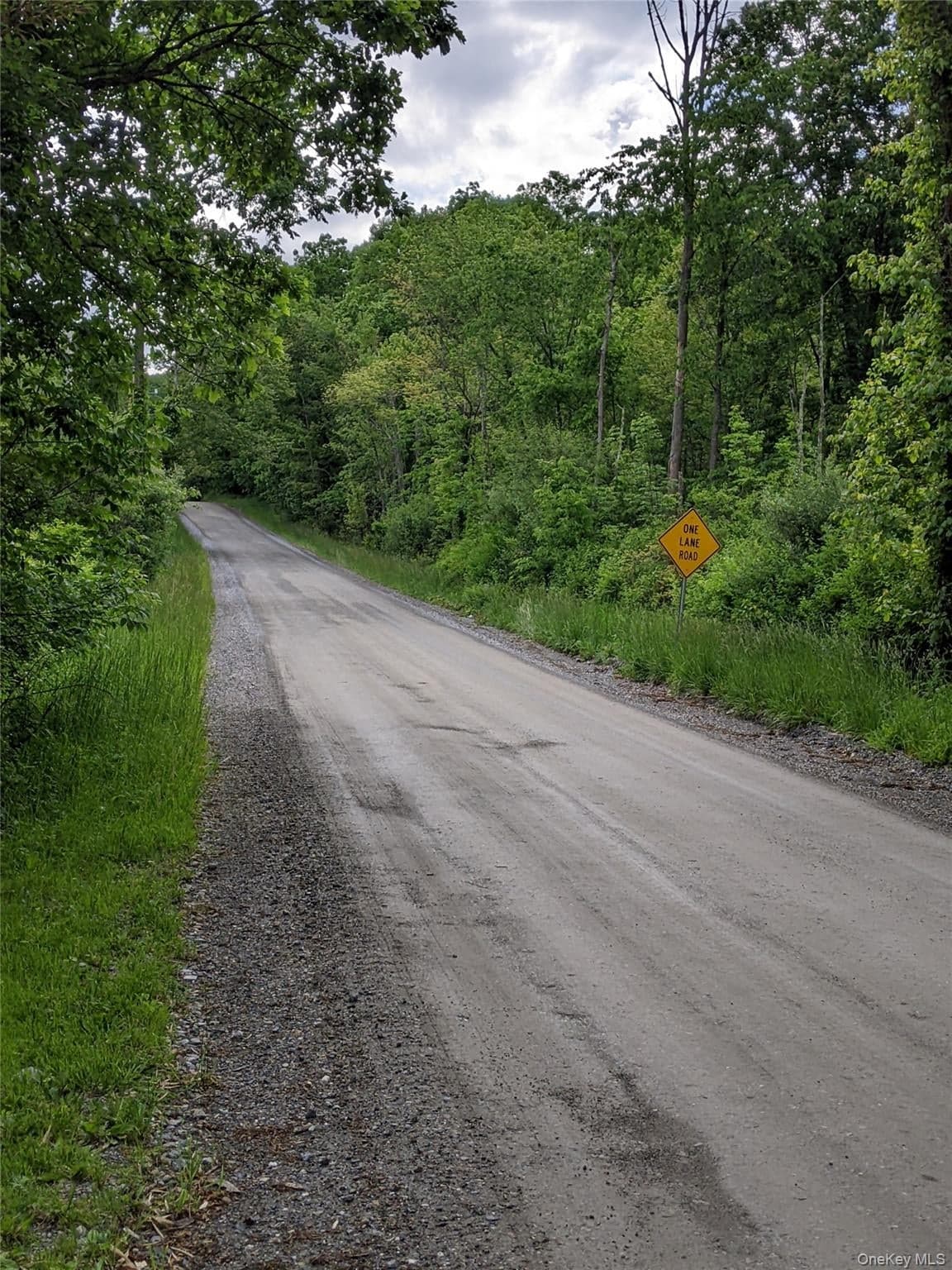 Parcel 1 - TBD Woodstock Road thumbnail 4