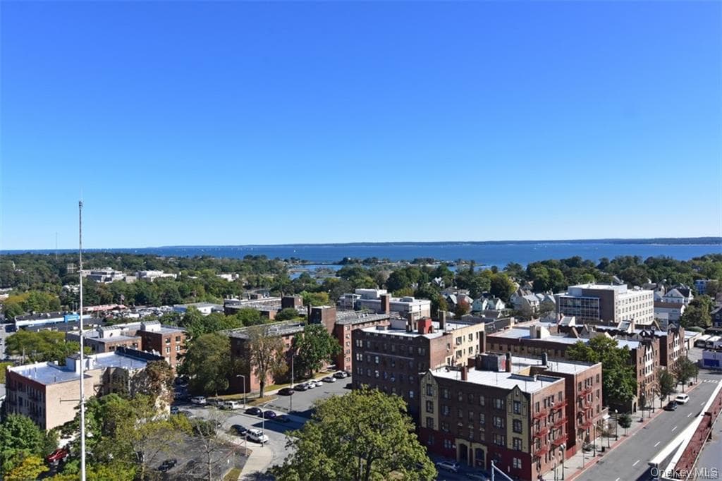 100 New Roc City Place Unit: 315 thumbnail 17
