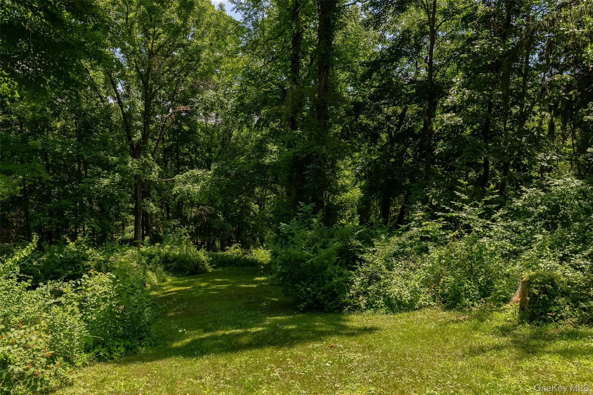 326 Mills Cross Road thumbnail 31
