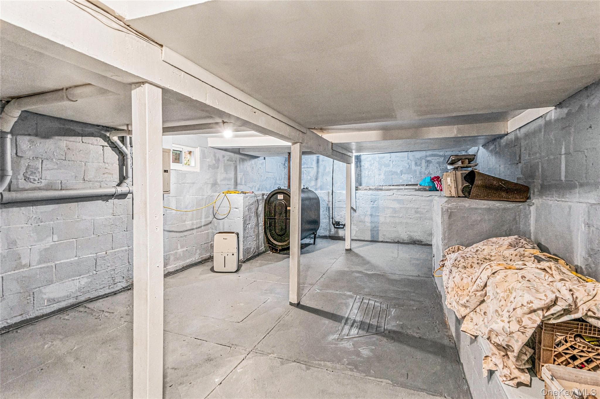 155 Moriches Avenue thumbnail 16