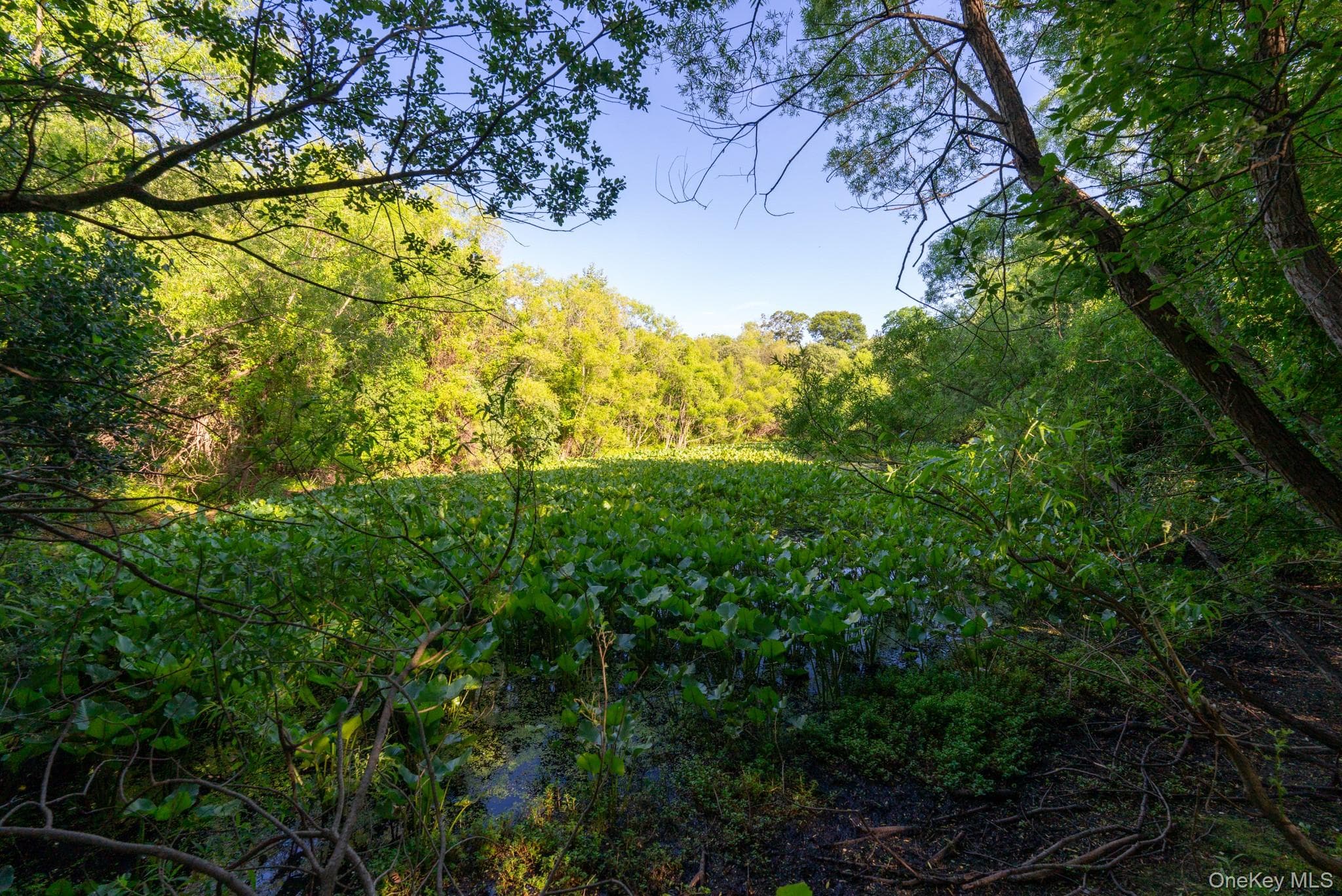 357 Smithtown Boulevard thumbnail 41