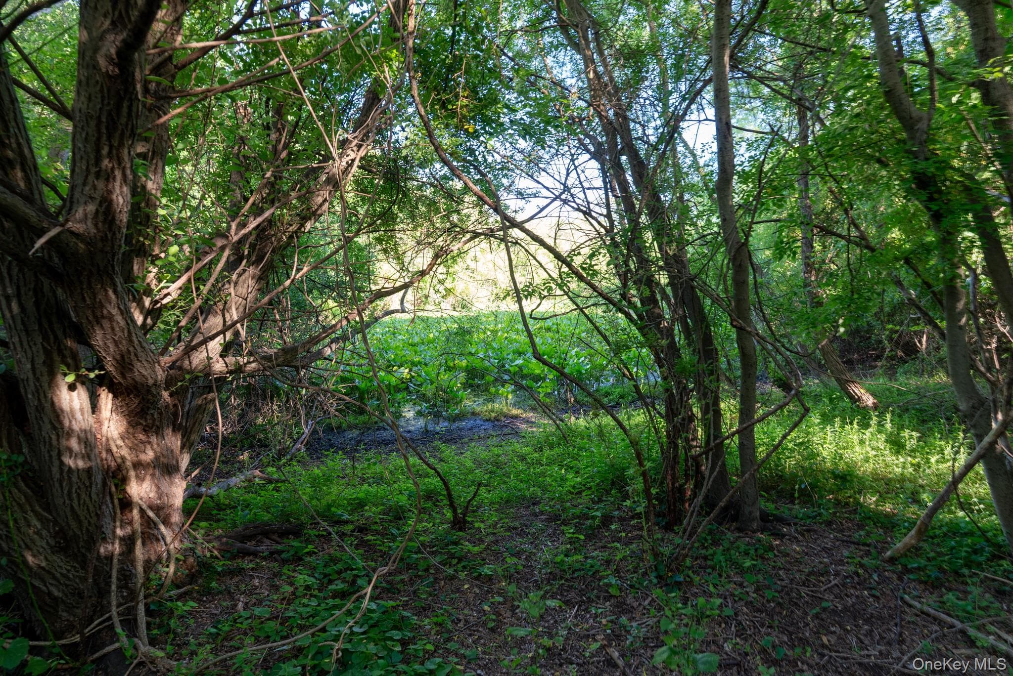 357 Smithtown Boulevard thumbnail 39