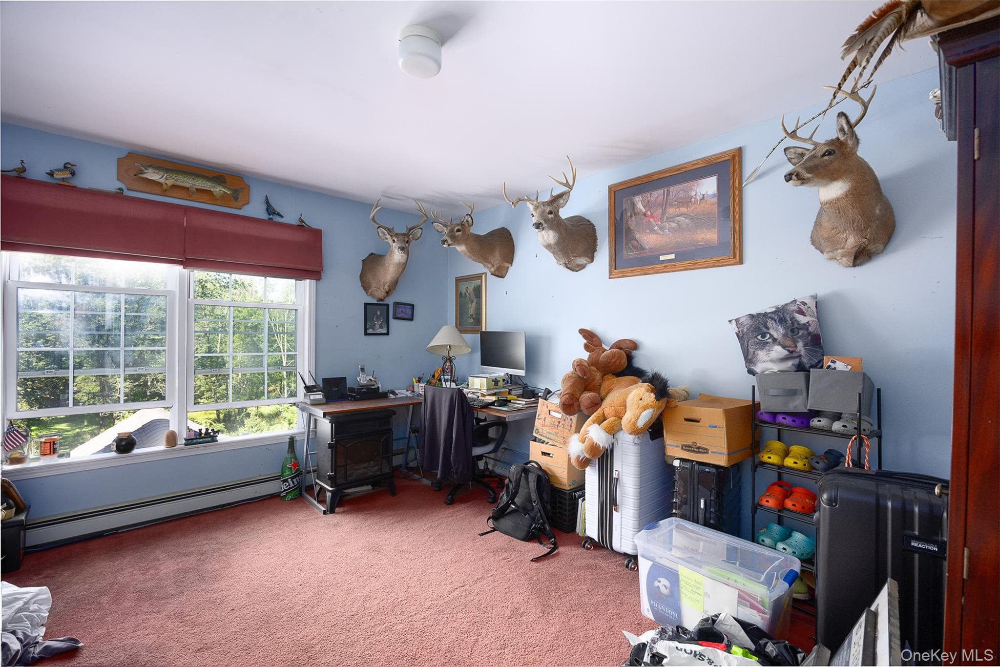 250 Highview Road thumbnail 13