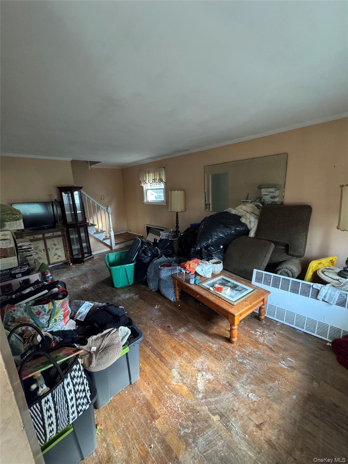 283 Doherty Avenue thumbnail 2