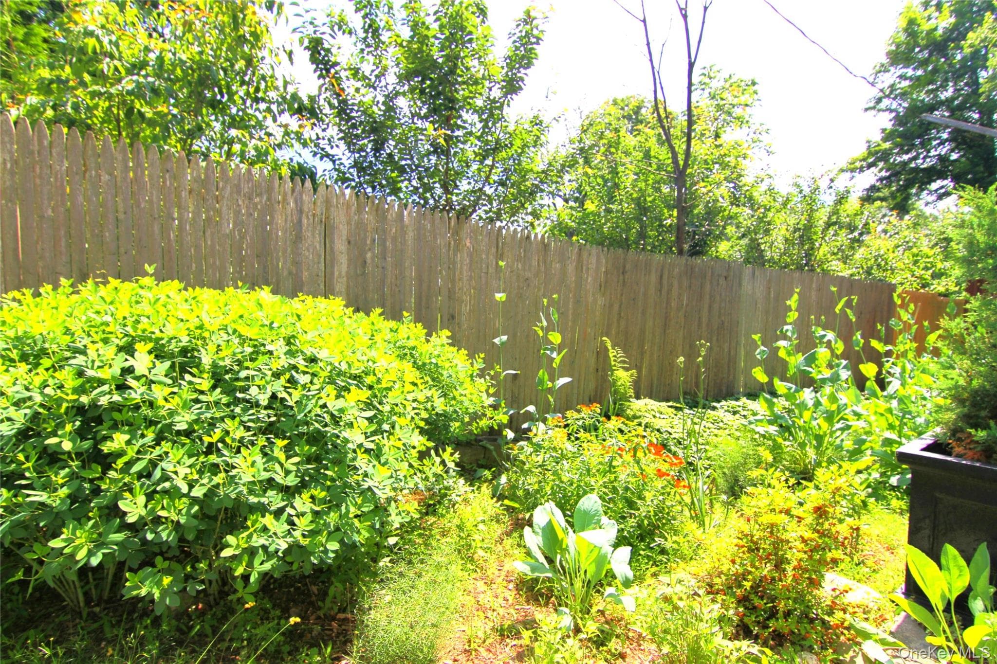 3155 Lexington Avenue Unit: 18AB thumbnail 5