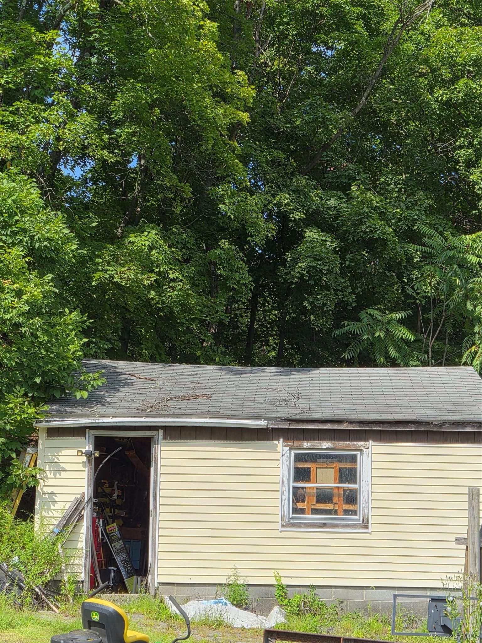 10 Cedar Street thumbnail 25