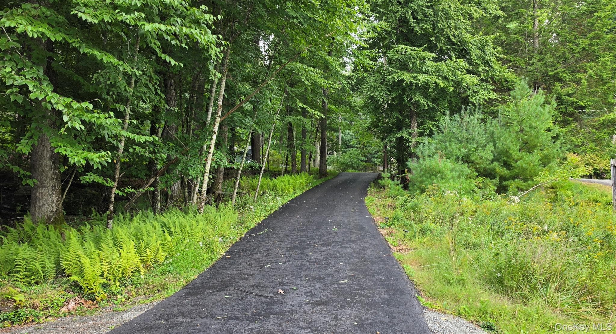 586 Lake Shore Lane thumbnail 26