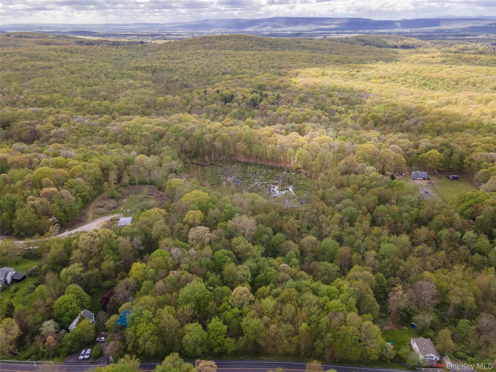 217 Tuckers Corners Road thumbnail 15