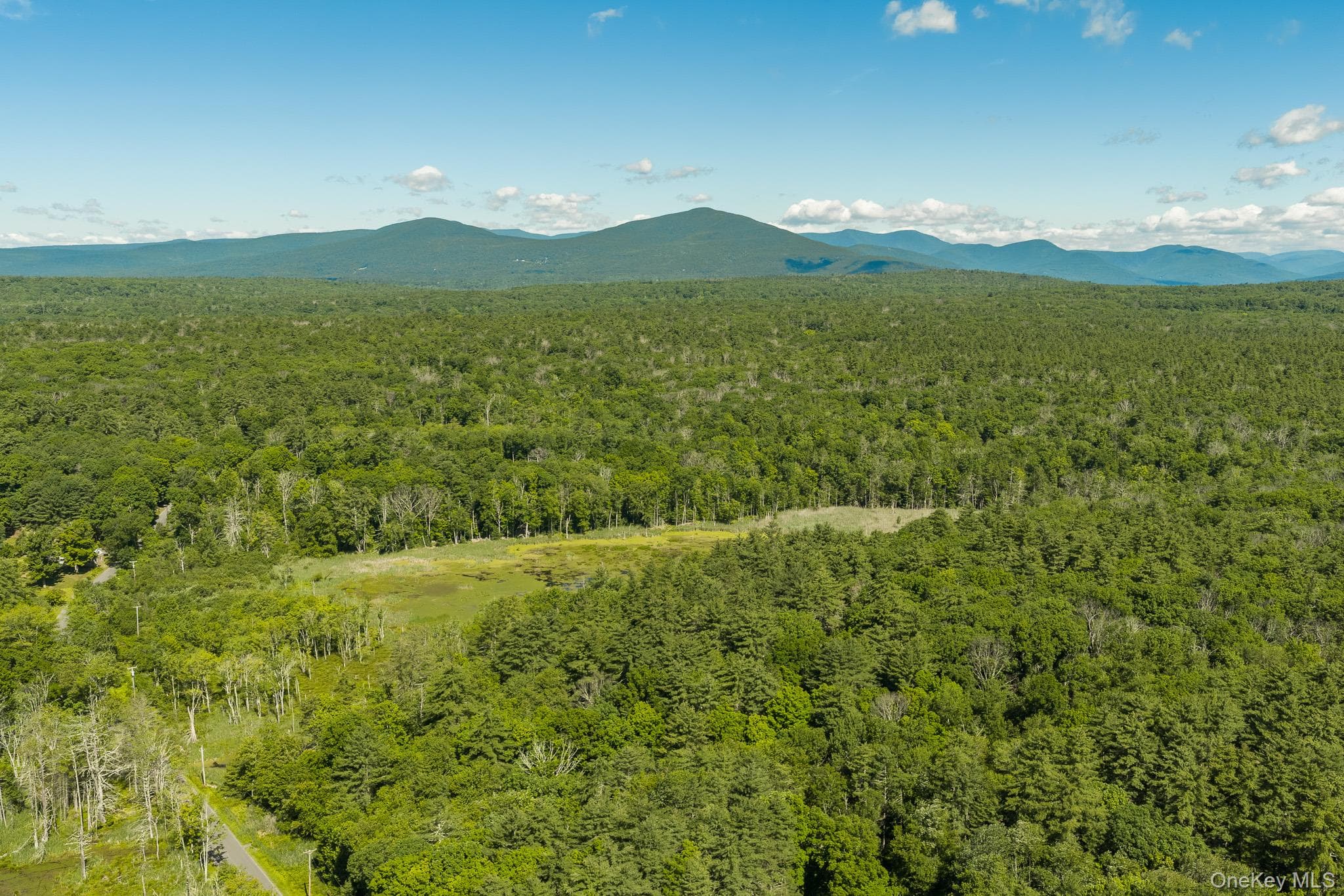 TBD Buck Road, Stone Ridge