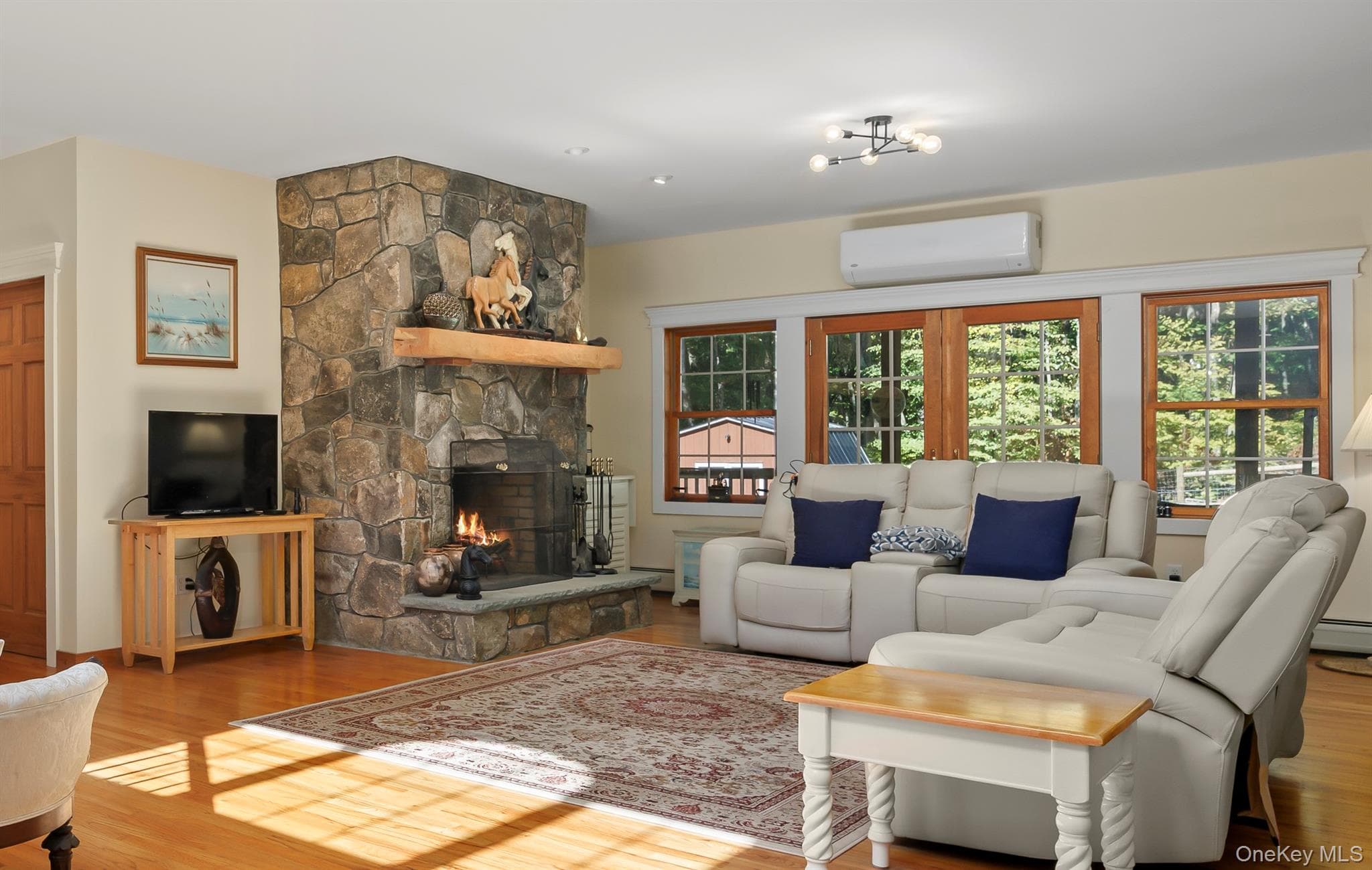 36 Appaloosa Lane thumbnail 9