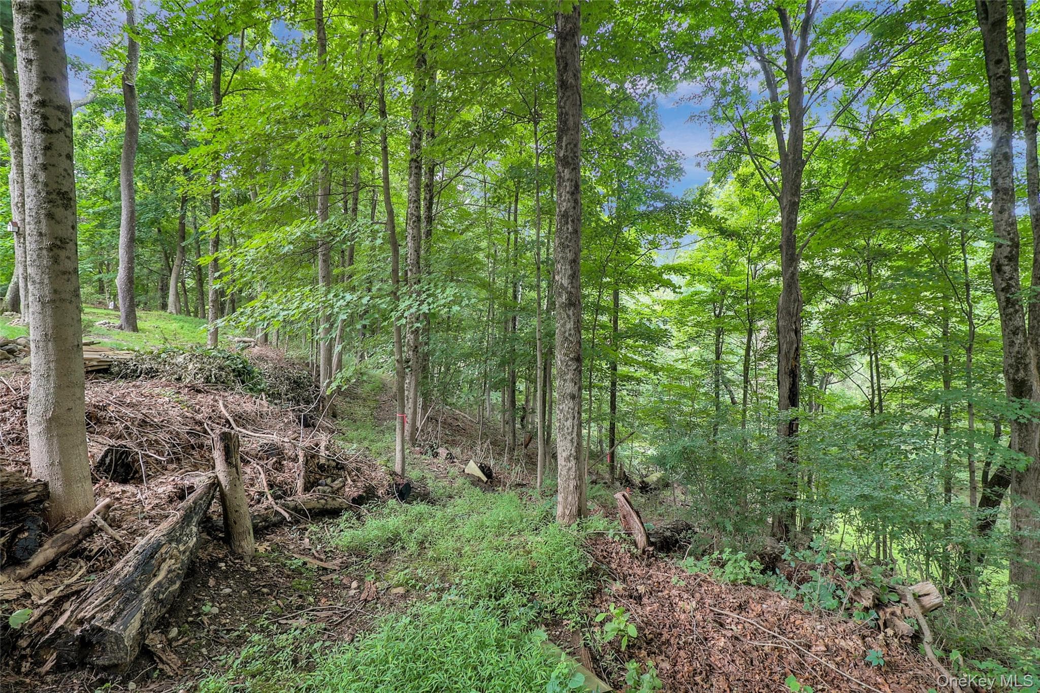 457 Saw Mill River Road thumbnail 6