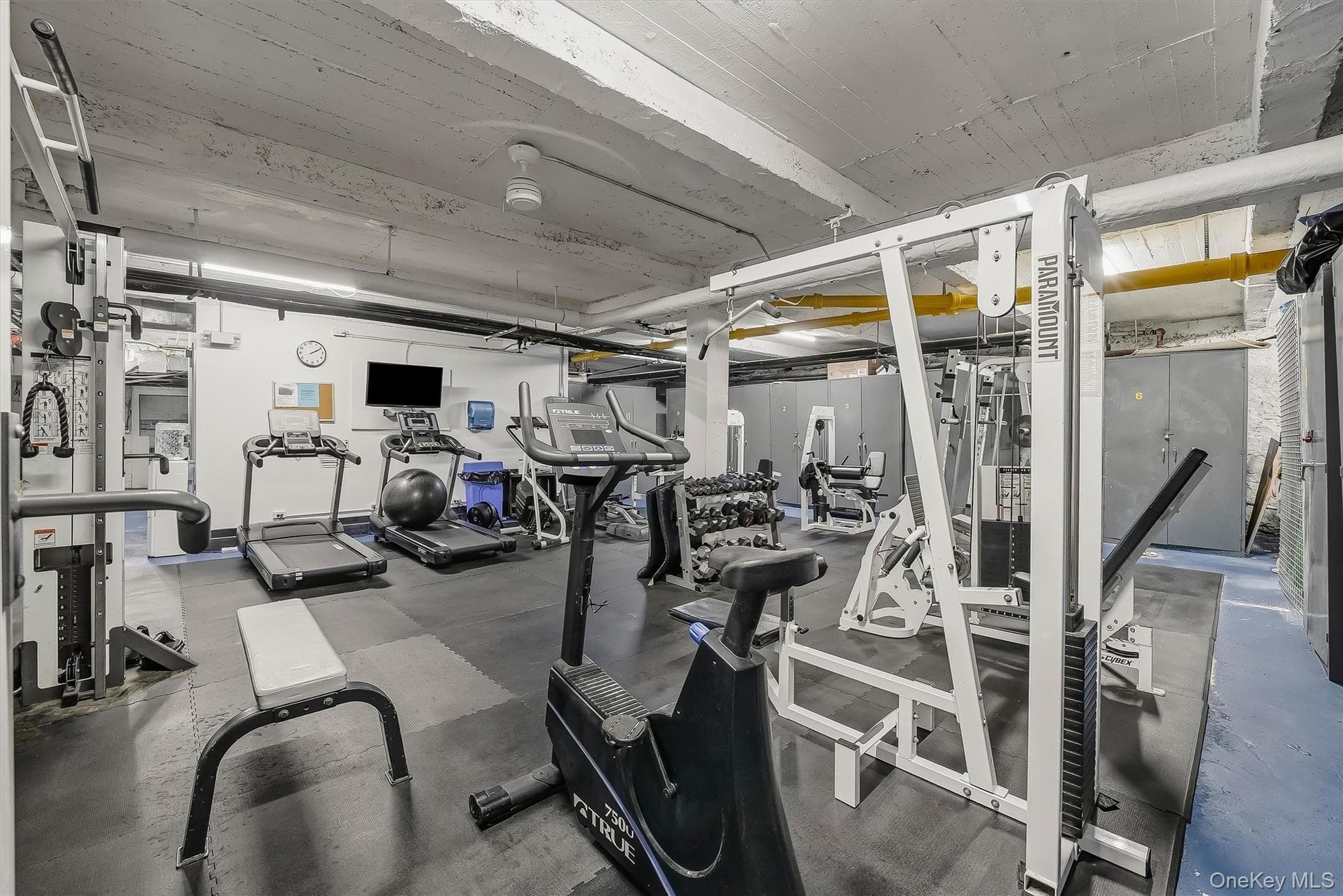 43 Calton Road Unit: 3D thumbnail 25