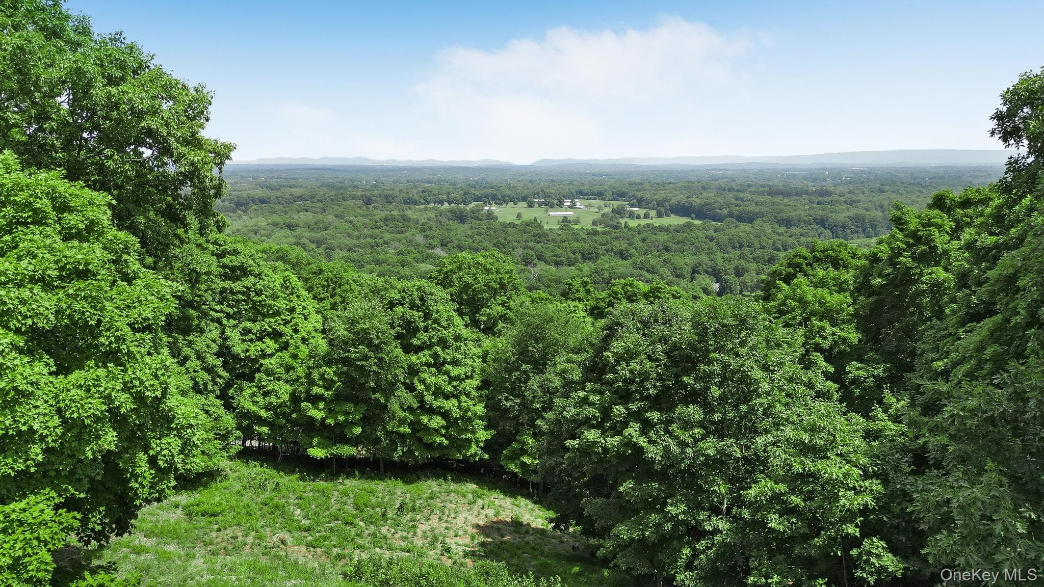 250 Corbett Road thumbnail 43