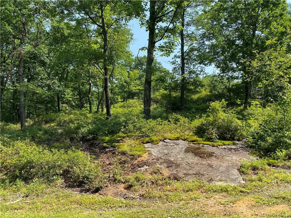 554 & 545 E Mountain Road thumbnail 7