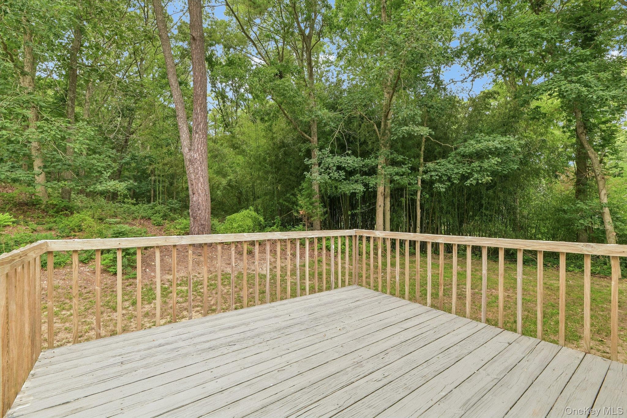 22 Red Maple Road thumbnail 25