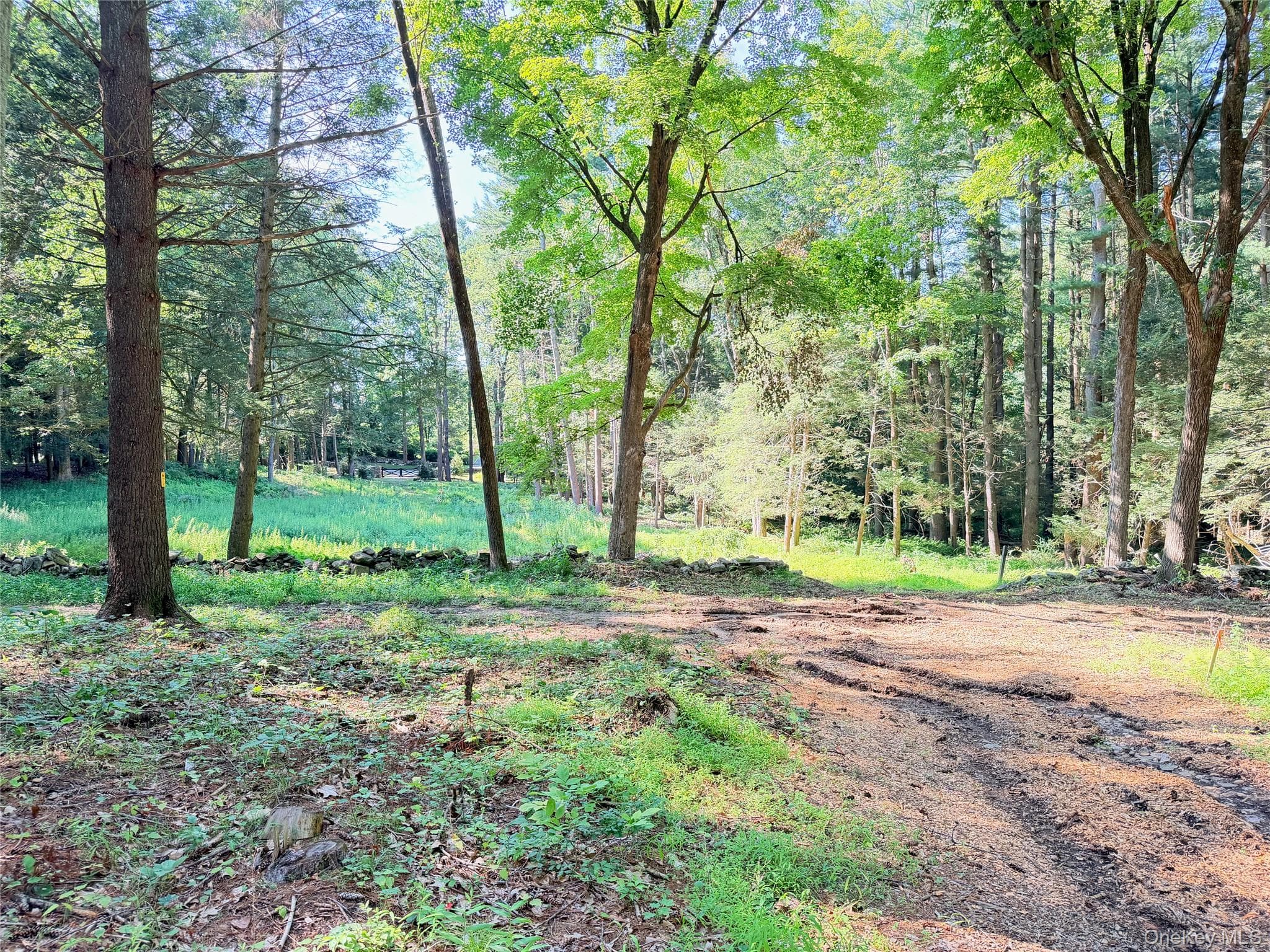 340 Haines Road thumbnail 8