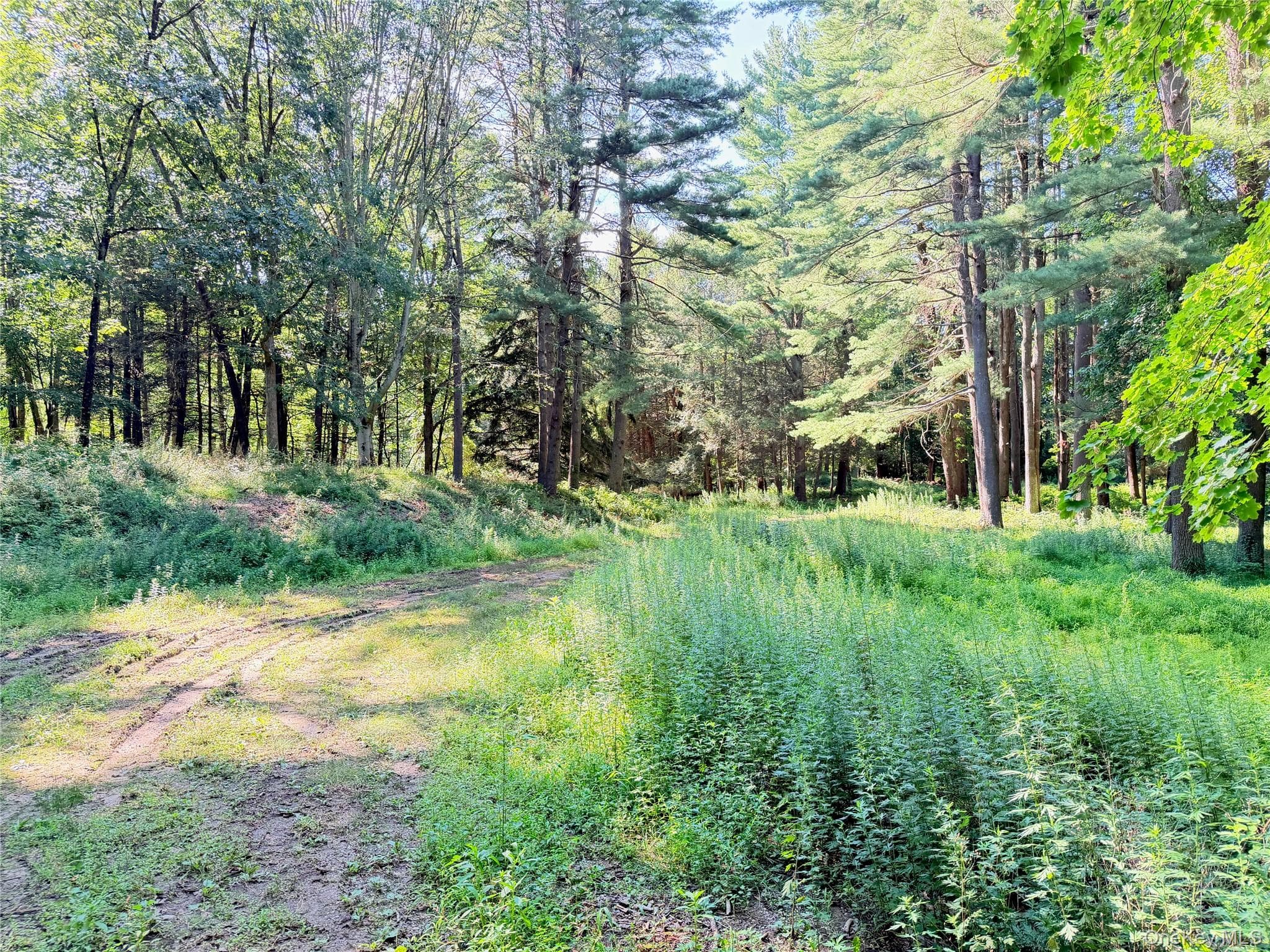340 Haines Road thumbnail 6