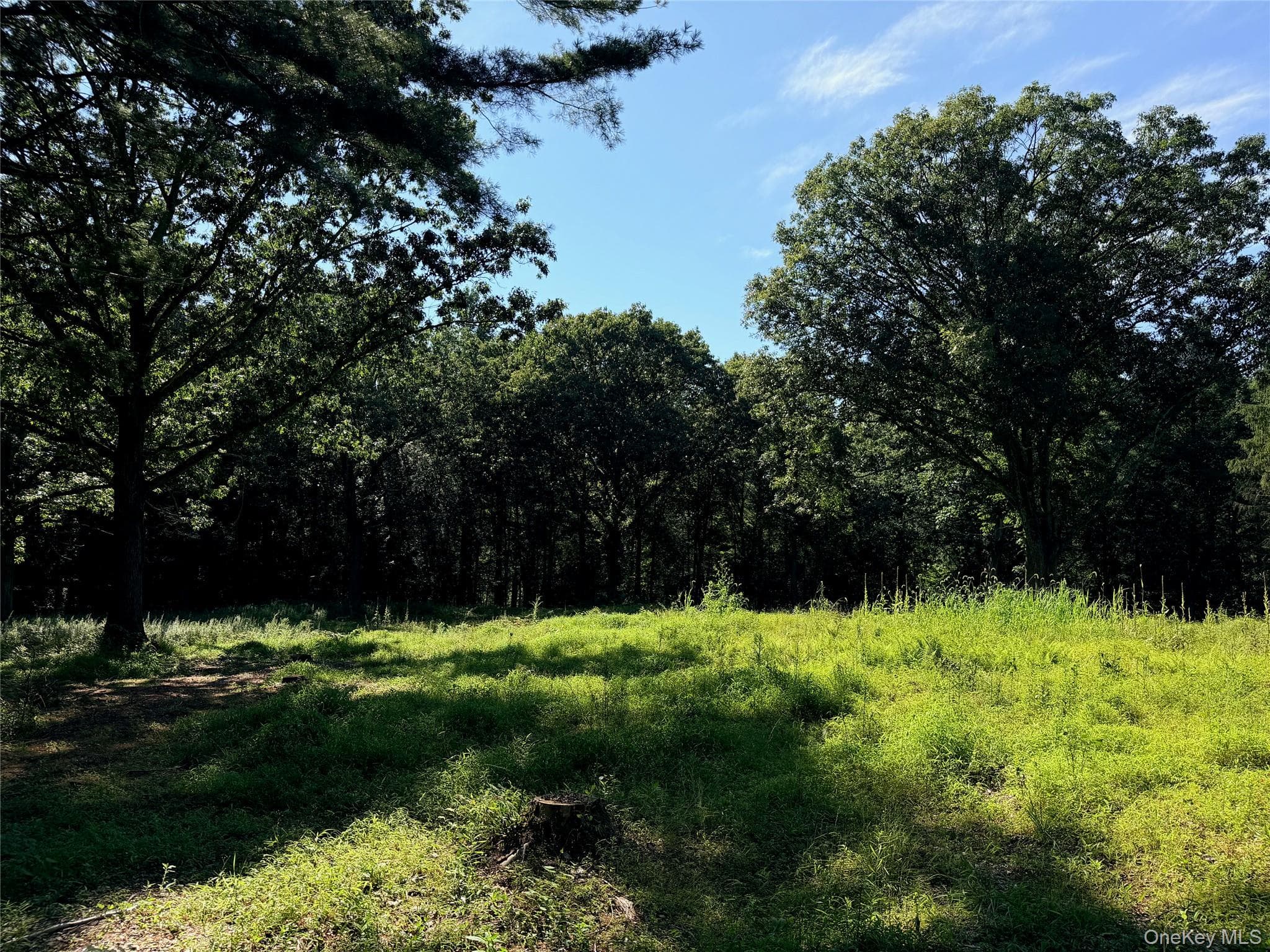 340 Haines Road thumbnail 7