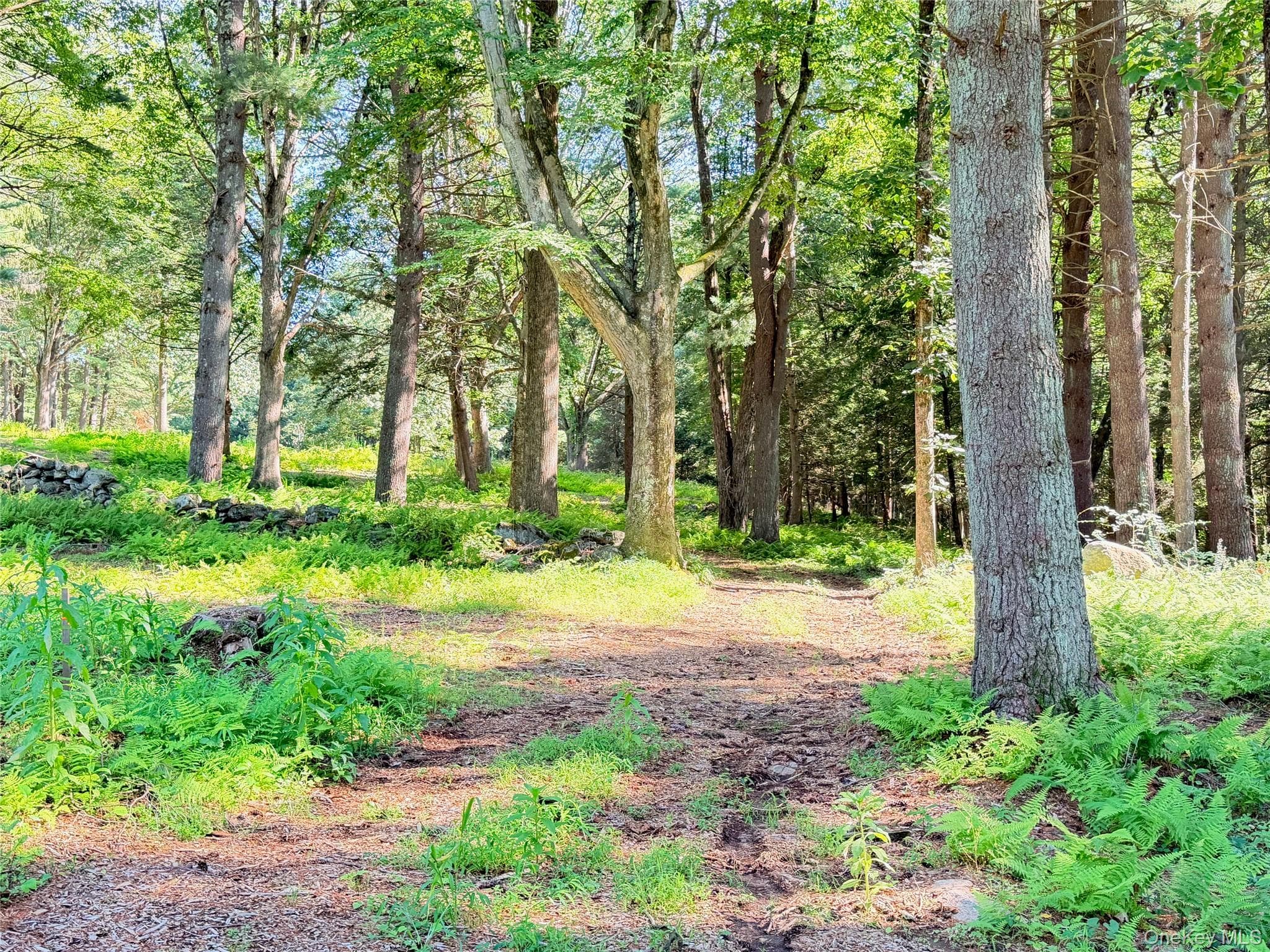 340 Haines Road thumbnail 4