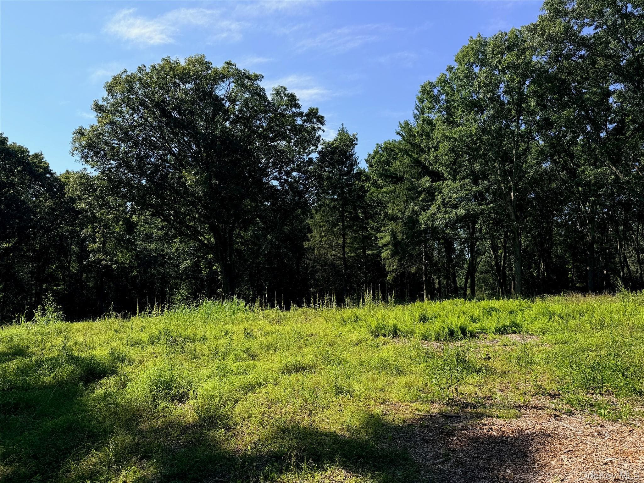 340 Haines Road thumbnail 9