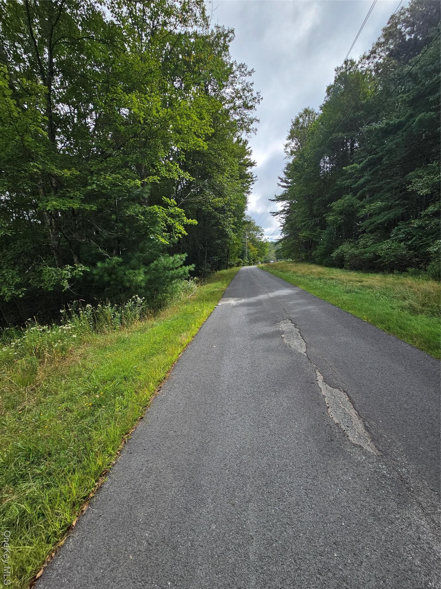 Flower Ave. & State Route 55 thumbnail 6