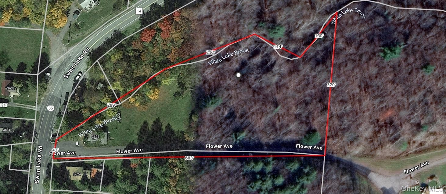 Flower Ave. & State Route 55 thumbnail 2